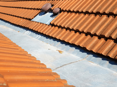 About Leaking Skylight Repair Pros Shelbina, MO